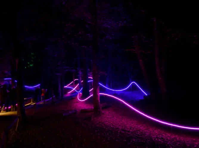 Enchanted Forest Faskally Forest Things to do in Pitlochry