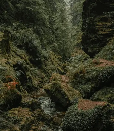 Pucks Glen, Waterfalls Near Glasgow