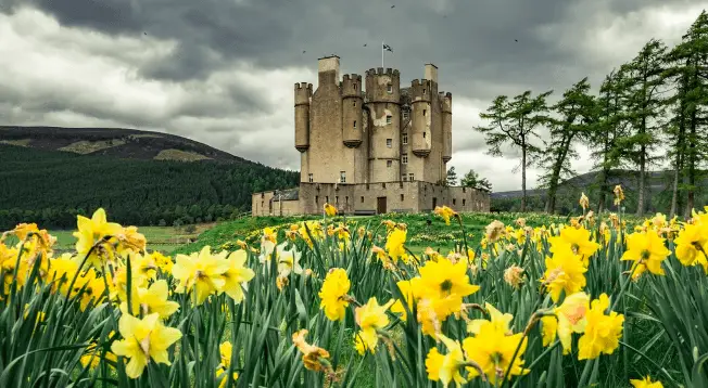 Braemar Castle, North east 250