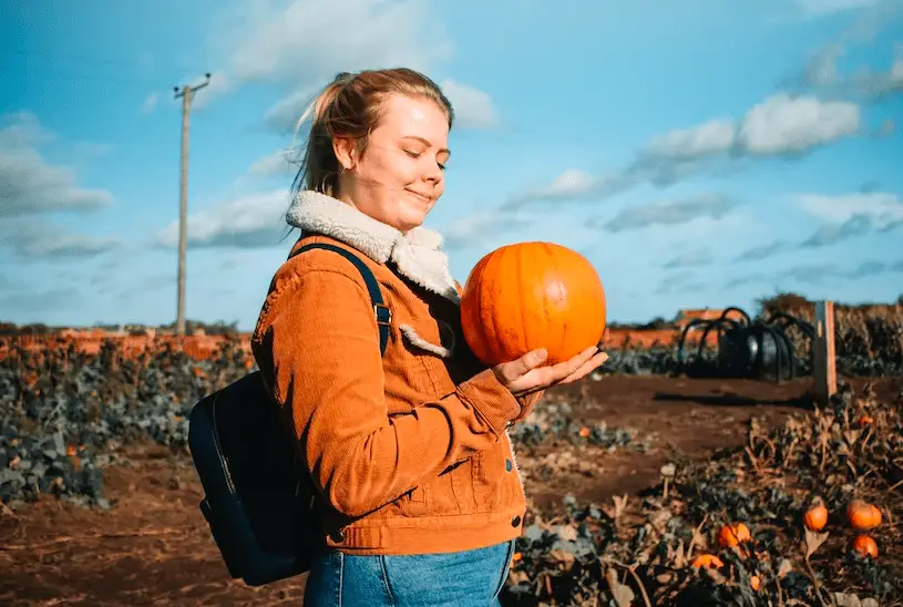 Autumn in Scotland, woman pumpkin picking