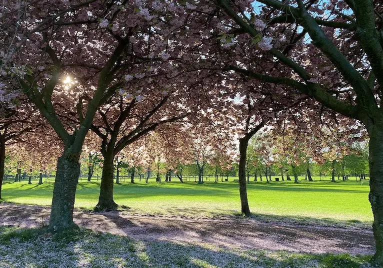 Parks in Edinburgh, the Meadows