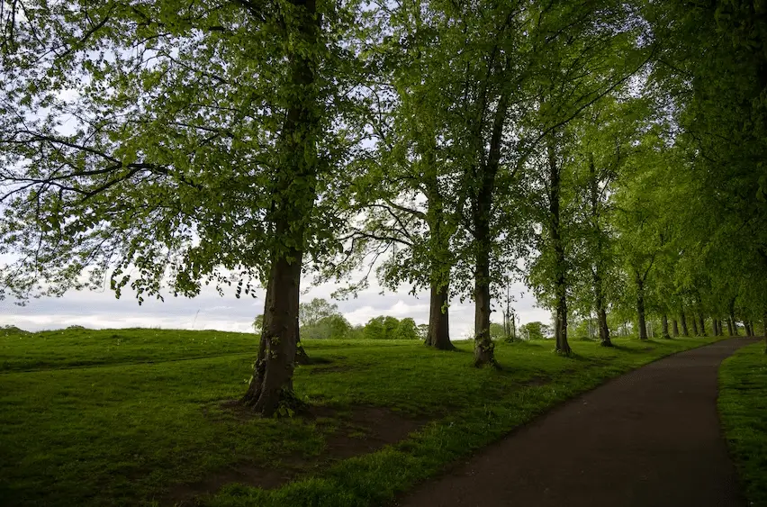 Parks in Edinburgh