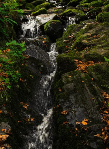 Waterfalls in Northern Ireland