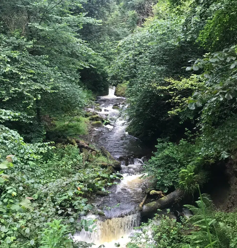 Waterfall in Dollar Glen