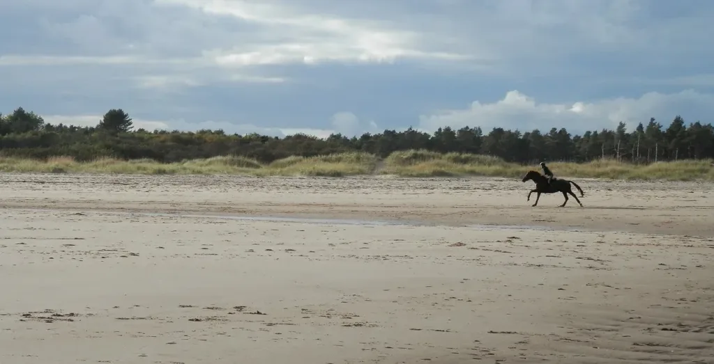 Horse riding along Kinshaldy Beach in Tentsmuir