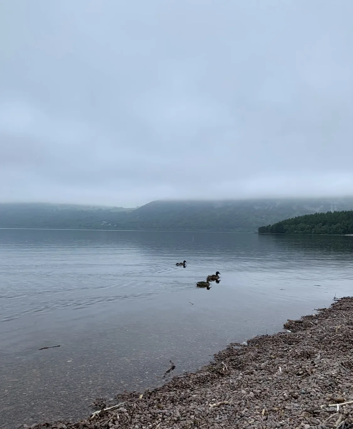 30 Cool Things To Do Near Loch Ness 1 Dores Beach and Loch Ness