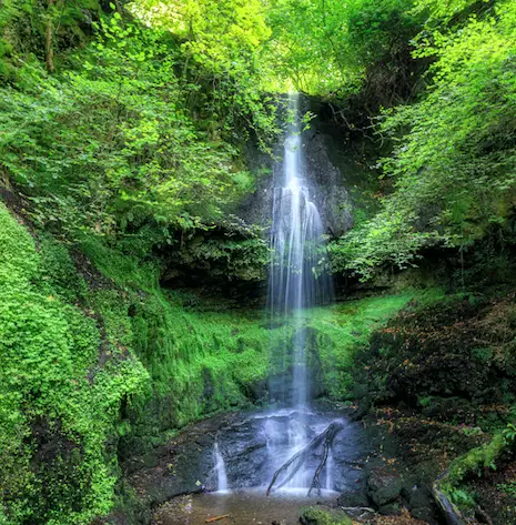 Craigie Linn Paisley