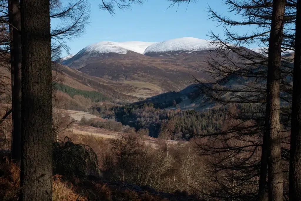 Carn a'Chlamain Munro