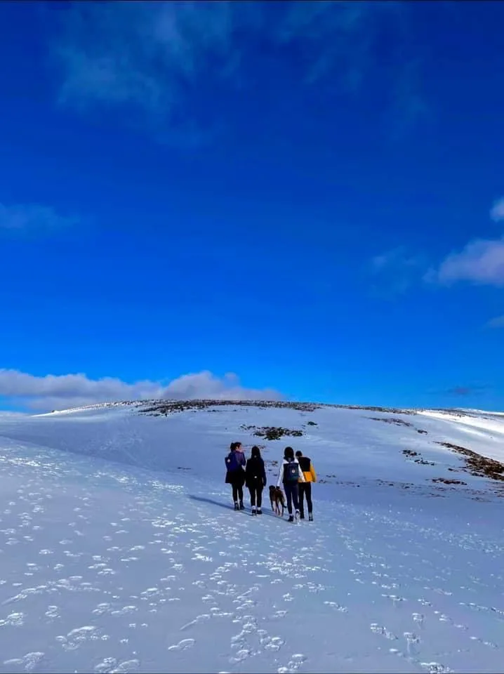 Ben chonzie Four people and a dog walking along a snow covered mountain. Blue sky.
