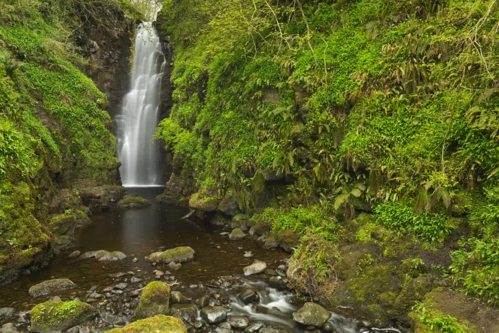 Cranny Falls Cranny Falls