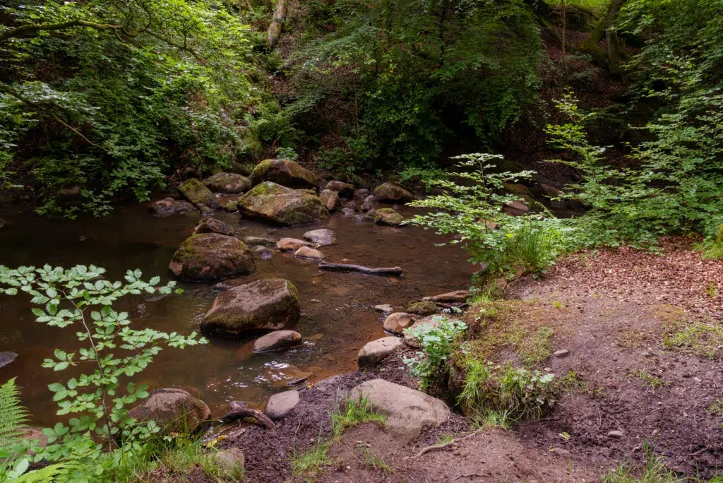 Polkemmet Country Park