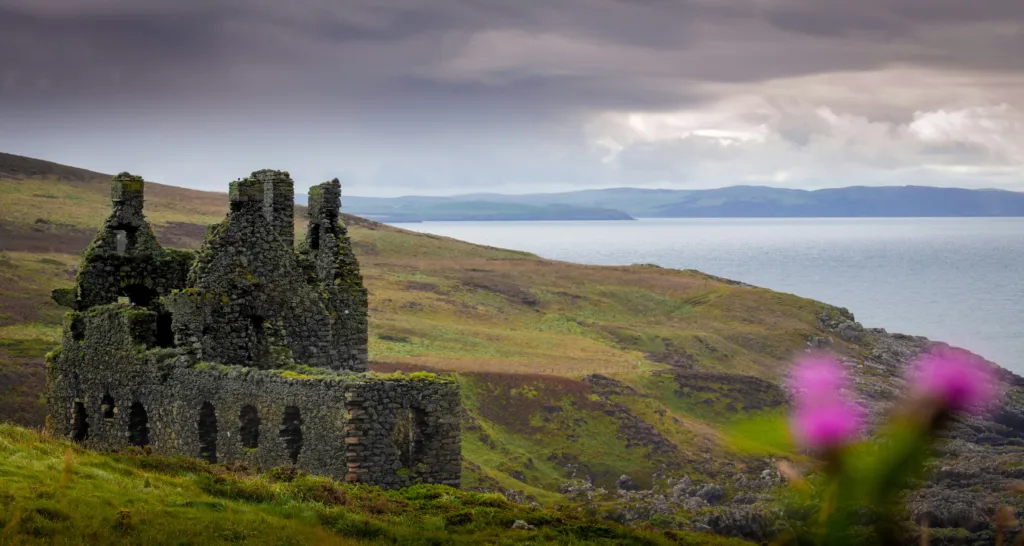 Dunskey Castle Ruined castle of Dunskey Castle on the left of the image. Thistle in the foreground and the sea in the background.