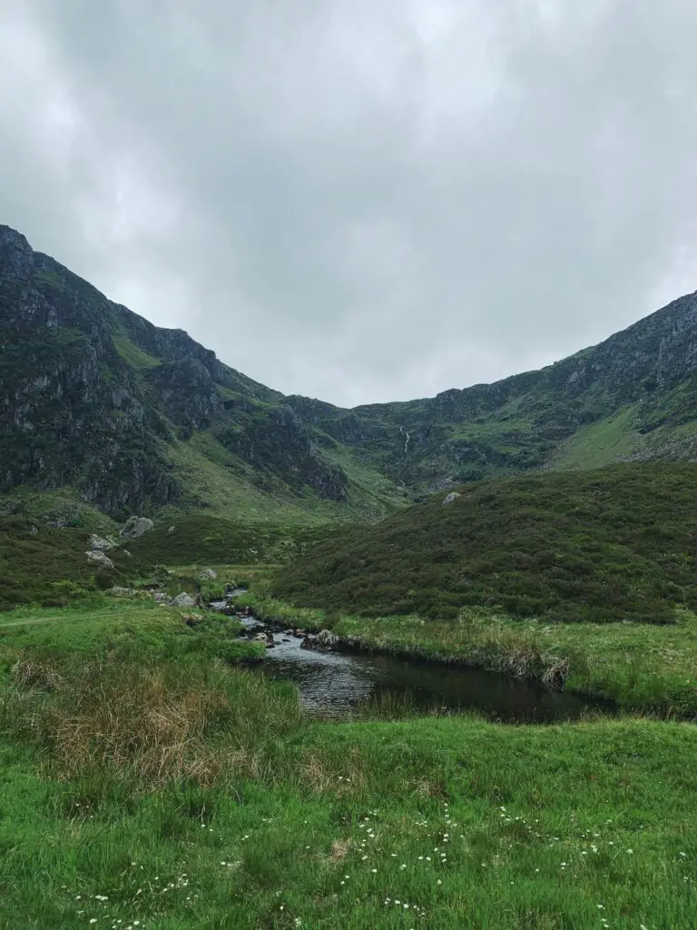 Mayar and Driesh Corrie Fee